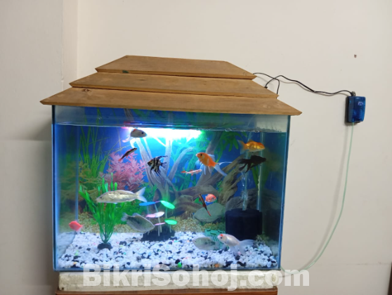 Aquarium full set